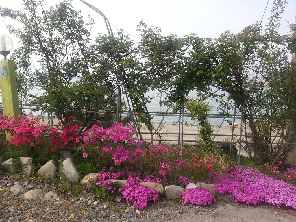 Yongdu Beach Pension Boryeong Exteriör bild