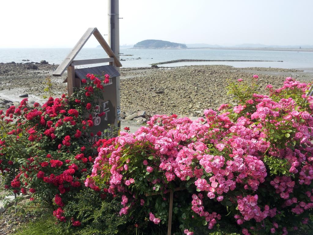 Yongdu Beach Pension Boryeong Exteriör bild